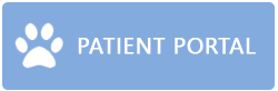 patient portal button